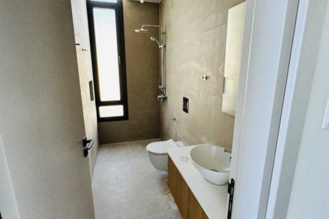 3 chambres Villa à Geroskípou, Cyprus No. 101352 13