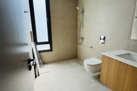 3 chambres Villa à Geroskípou, Cyprus No. 101352 6