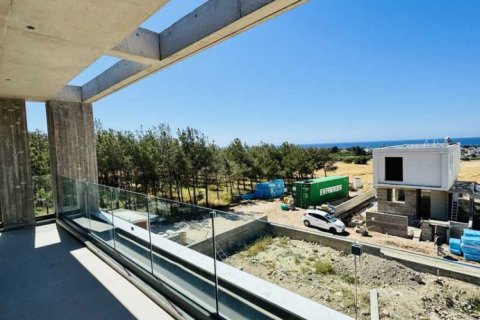 3 chambres Villa à Geroskípou, Cyprus No. 101352 11