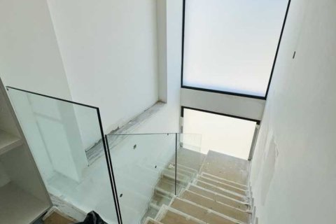 3 chambres Villa à Geroskípou, Cyprus No. 101352 15