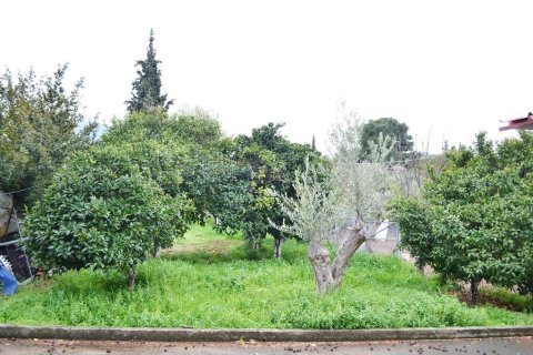 5 dormitorios House en Chalcis, Greece No. 109515 20