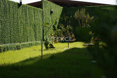 3 chambres Appartement à Chau Lang, Vietnam No. 13948 15