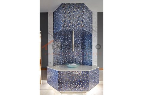 1 dormitorio Apartment en Bach Long Vi, Vietnam No. 17911 3