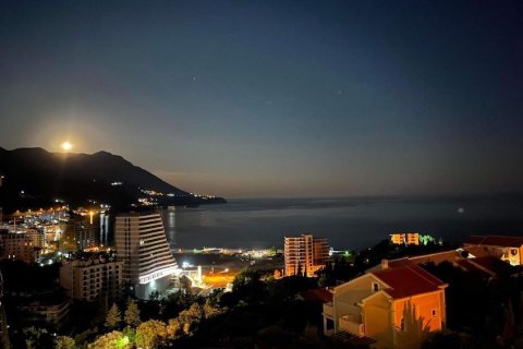 1 bedroom Apartment in Budva, Montenegro No. 104754 19