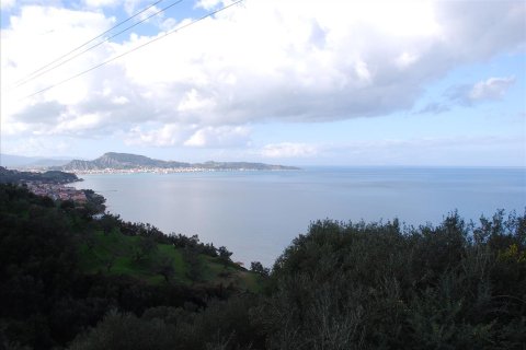 13000m² Land in Zakynthos, Greece No. 59011 5