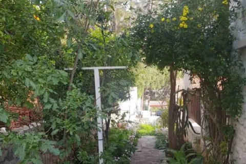 6 bedrooms House in Erimi, Cyprus No. 101284 7