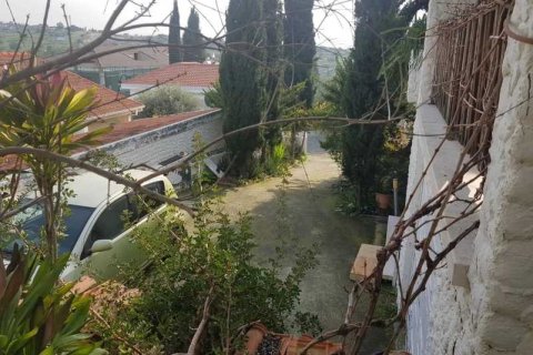 6 bedrooms House in Erimi, Cyprus No. 101284 8