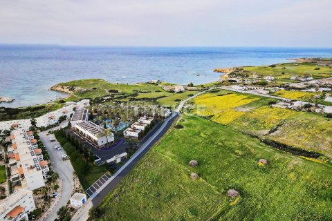 Пентхаус с 1 спальней в Bao Thuan, Вьетнам №17323 23