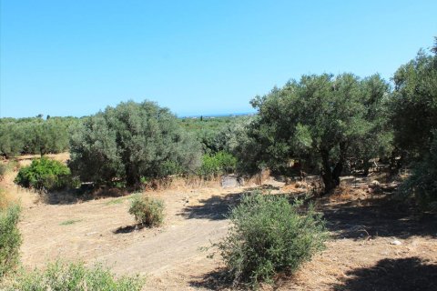 Земельный участок 2009м² в Hersonissos, Греция №109719 1