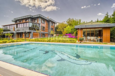 10 bedrooms Villa in Bueyuekcekmece, Turkey No. 124296