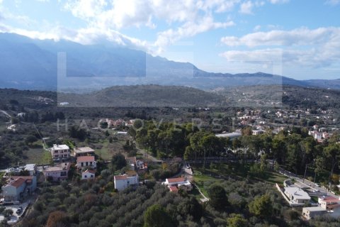 2 bedrooms Villa in Vamos, Greece No. 79798 6