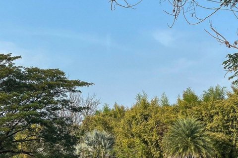 Commercial property en Chiang Mai, Thailand No. 98070 30