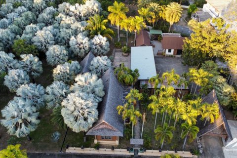 Commercial property en Chiang Mai, Thailand No. 98070 7