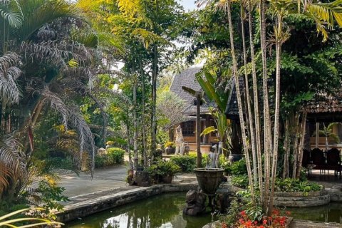 Commercial property en Chiang Mai, Thailand No. 98070 16