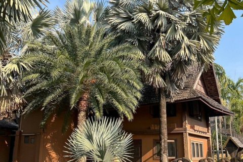 Commercial property en Chiang Mai, Thailand No. 98070 22