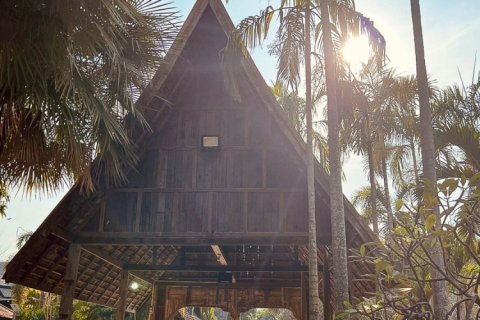 Commercial property en Chiang Mai, Thailand No. 98070 14