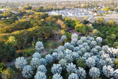 Commercial property en Chiang Mai, Thailand No. 98070 8