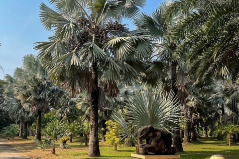 Commercial property en Chiang Mai, Thailand No. 98070 12