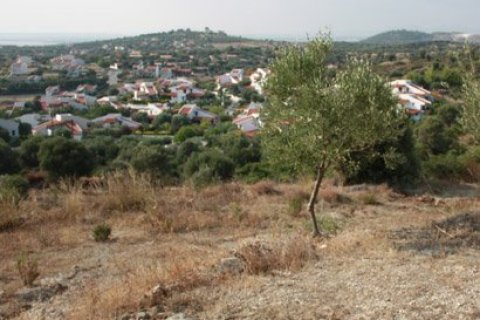 Земельный участок 7230м² в Халкидики, Греция №60672 1