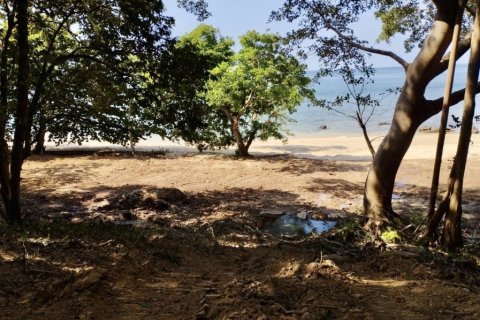 10077m² Land à Krabi, Thailand No. 97180 6