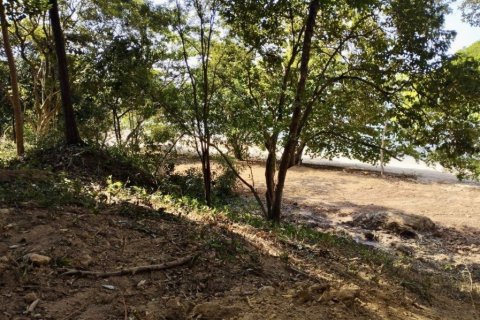 10077m² Land à Krabi, Thailand No. 97180 7