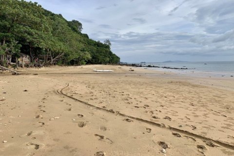 10077m² Land à Krabi, Thailand No. 97180 3