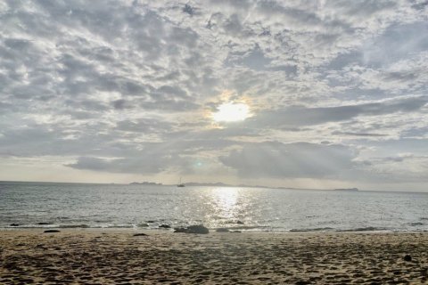 10077m² Land à Krabi, Thailand No. 97180 4