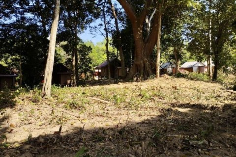 10077m² Land à Krabi, Thailand No. 97180 8