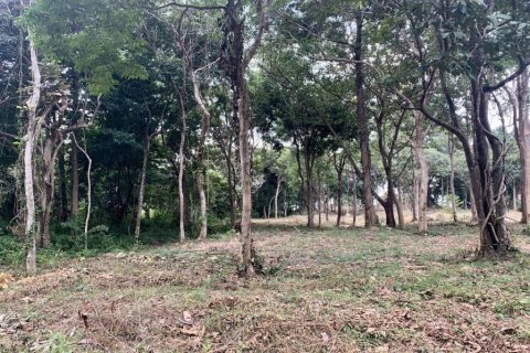 10077m² Land à Krabi, Thailand No. 97180 10