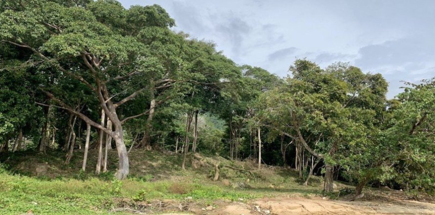 10077m² Land à Krabi, Thailand No. 97180