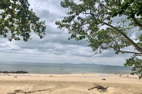 10077m² Land à Krabi, Thailand No. 97180 5