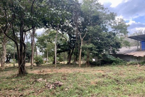 10077m² Land à Krabi, Thailand No. 97180 9