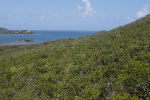 3318m² Land in Falmouth, Antigua and Barbuda No. 64962 3