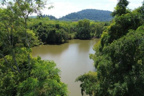 Land in Phang Nga, Thailand No. 96376 12