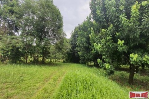 Land in Phang Nga, Thailand No. 96376 5