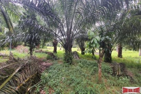 Land in Phang Nga, Thailand No. 96376 13