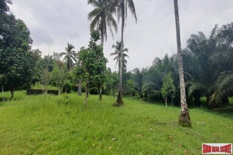 Land in Phang Nga, Thailand No. 96376 17