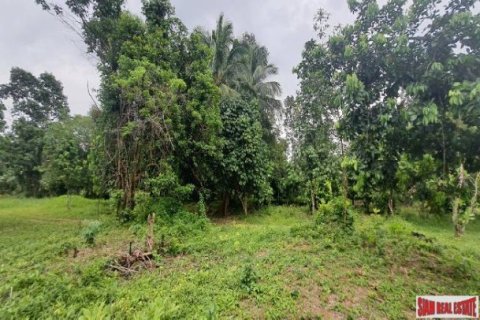 Land in Phang Nga, Thailand No. 96376 4