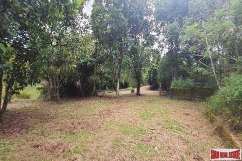 Land in Phang Nga, Thailand No. 96376 8