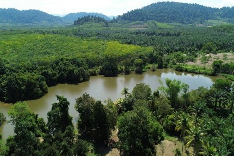 Land in Phang Nga, Thailand No. 96376 1