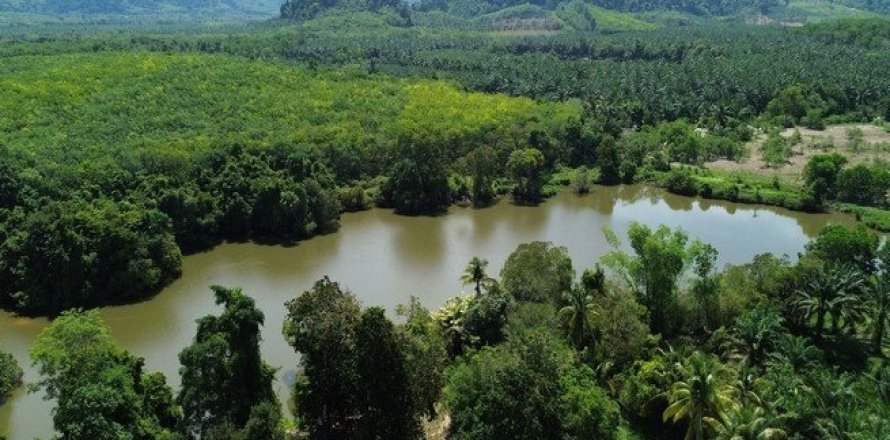 Land in Phang Nga, Thailand No. 96376