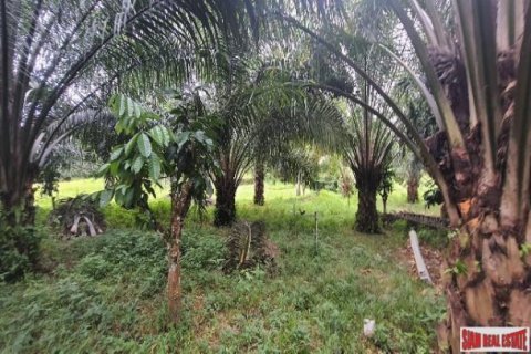 Land in Phang Nga, Thailand No. 96376 14