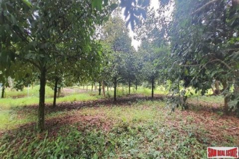 Land in Phang Nga, Thailand No. 96376 6