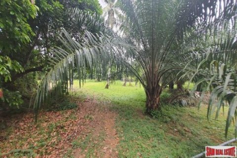 Land in Phang Nga, Thailand No. 96376 15