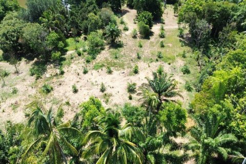 Land in Phang Nga, Thailand No. 96376 9
