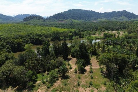 Land in Phang Nga, Thailand No. 96376 7