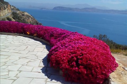 400m² House in Arcadia, Greece No. 58971 1