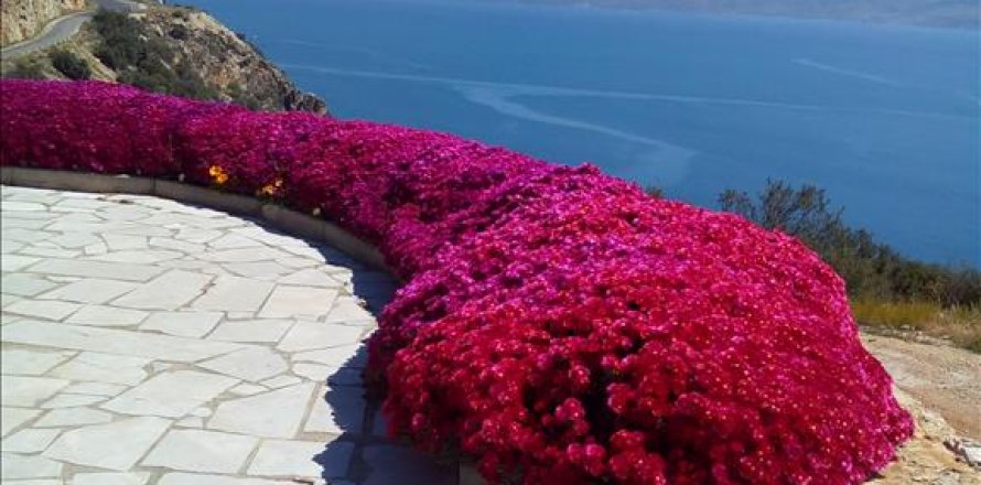 Studio House in Arcadia, Greece No. 58971