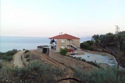 400m² House in Arcadia, Greece No. 58971 3