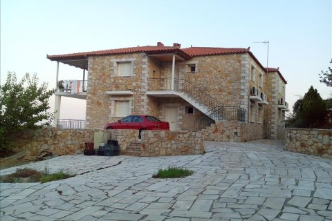 400m² House in Arcadia, Greece No. 58971 12